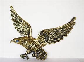 Image result for zeus eagle