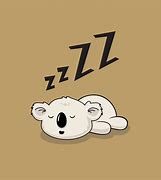 Image result for Koala Sleep