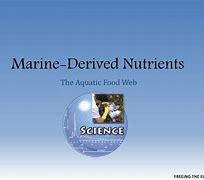 Image result for Marine Nutrients