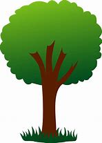 Image result for Tree Pictures Clip Art