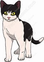 Image result for Black and White Female Cat Cartoon