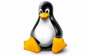 Image result for Linux Windows Logo