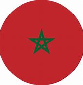 Image result for morocco flag vector