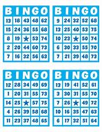 Image result for Bingo Pieces