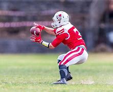 Image result for Football Player Catching