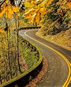 Image result for Fall Road Trip