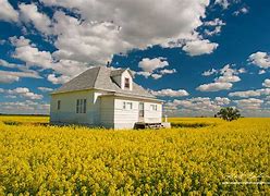 Image result for Manitoba Prairies