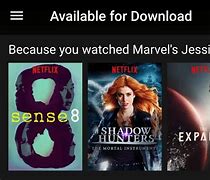 Image result for Netflix Offline