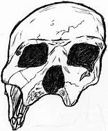 Image result for Broken Skull Art