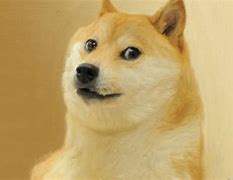 Image result for 2 Doge Meme