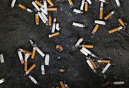 Image result for Low Nicotine Cigarettes