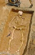 Image result for Giant Skeleton Brazil Museum