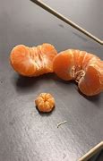 Image result for Clementine Loses Leg