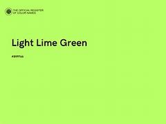 Image result for Australian Lime One Green World