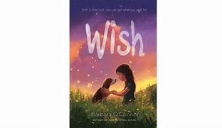 Image result for Wish Book Diary