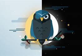 Image result for Owl Night Time