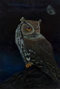 Image result for Night Owl Hensoldt