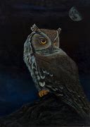 Image result for Night Owl Hensoldt