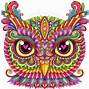 Image result for Pueo Owl Art