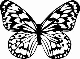 Image result for Flower Clip Art Black and White Butterfly