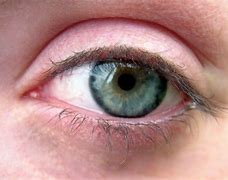 Image result for My Eye in Macro