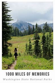 Image result for Washington National Parks Road Trip