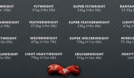 Image result for Boxing Weight Class