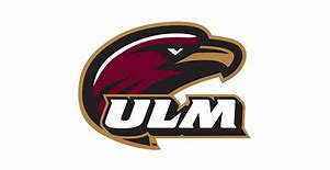 Image result for Ulm Pin