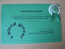 Image result for Girl Scout Awards List