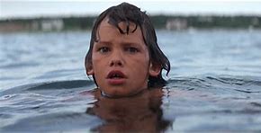 Image result for Jaws 2 Brody