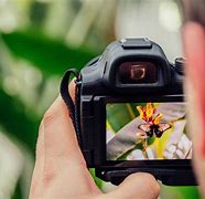 Image result for Macro Digital Photography