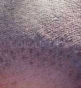 Image result for Realistic Minecraft Hippo Skin