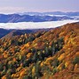 Image result for Smoky Mountains North Carolina