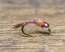 Image result for Trout Fly Patterns Fishing