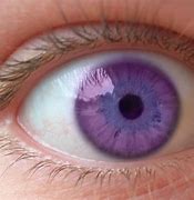 Image result for Elysium Purple