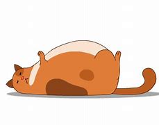 Image result for Round Fat Cartoon Cat