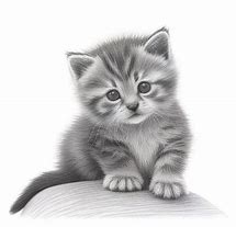 Image result for Kitty Line Drawing