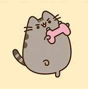 Image result for Pashin Cat