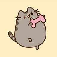 Image result for Pashin Cat