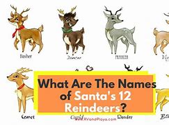 Image result for 12 Reindeers