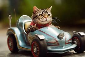 Image result for Cat Car Figure