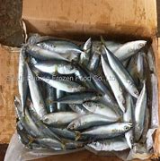 Image result for Frozen Mackerel Bait