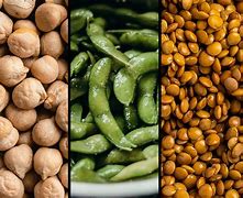 Image result for Best Food with Legumes