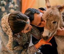 Image result for Sultan Azlan Shah Wife