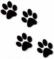 Image result for Gold Paw Print No Background