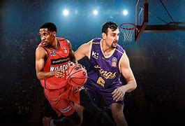 Image result for NBL Schedule