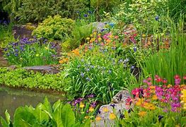 Image result for Bog Plants