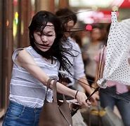 Image result for Umbrella in War