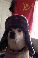 Image result for Soviet Dog PFP