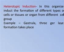 Image result for Embryonic Induction